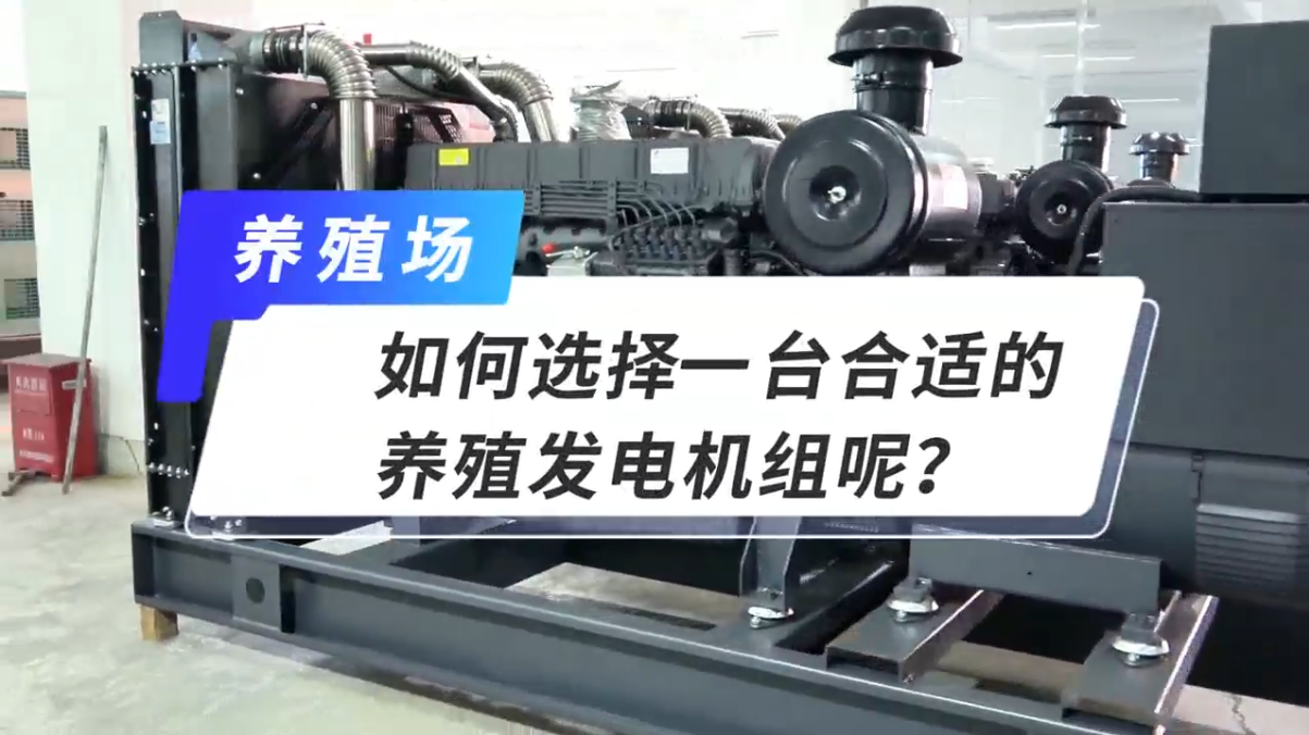 「視頻」如何選擇一臺合適的養殖發電機組呢？